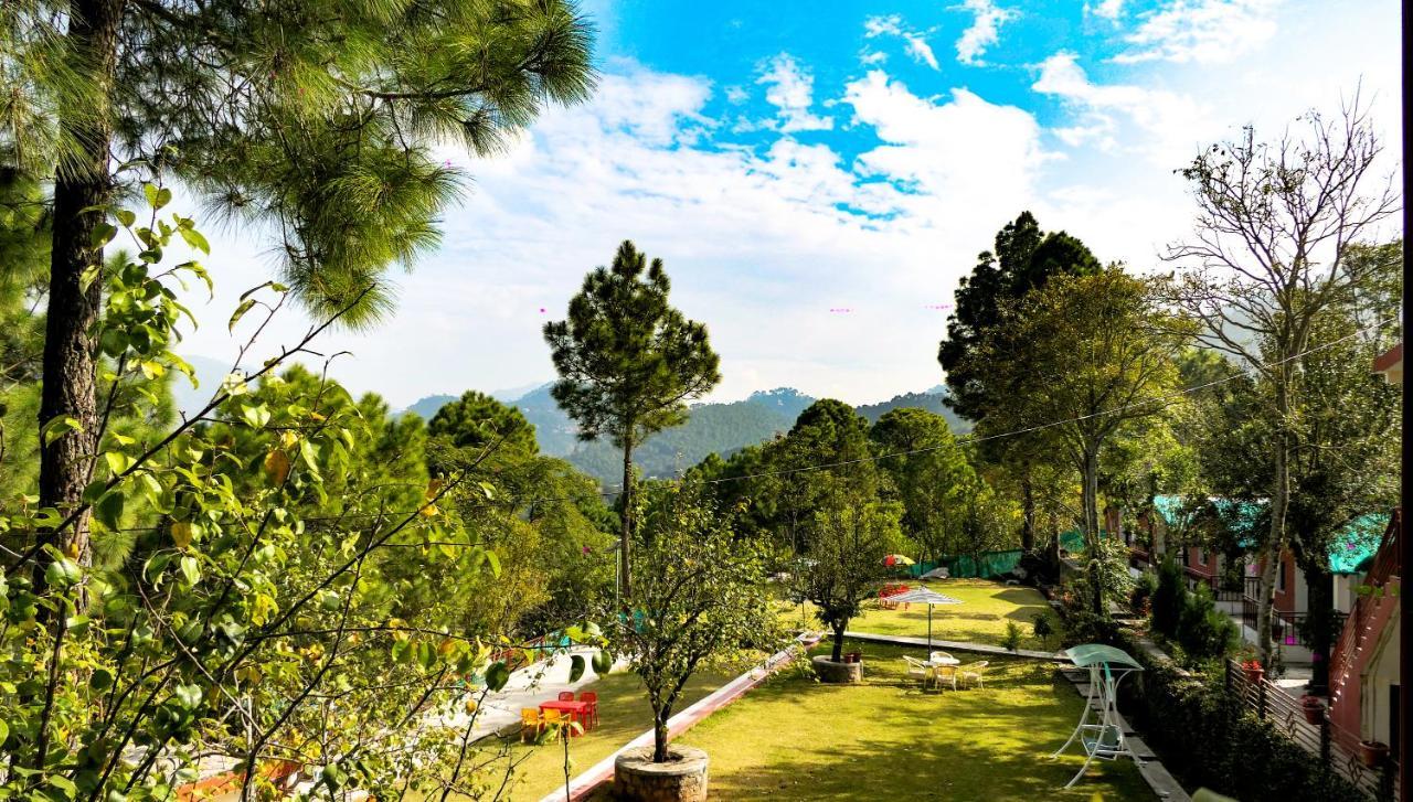 Kasauli Nature Inn Luaran gambar